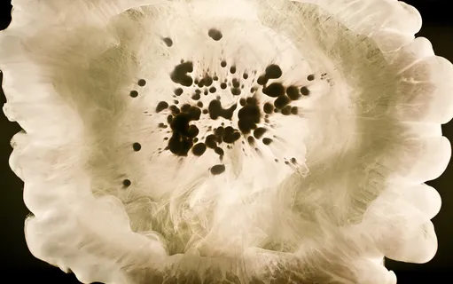 壁纸|风光|风景|桌面|1920x1200