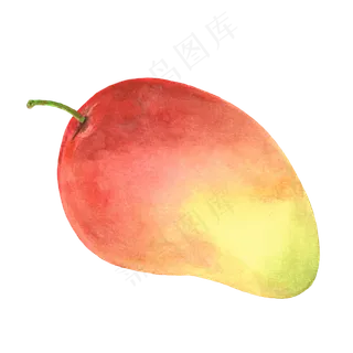 水彩插画-芒果
