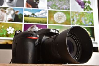 尼康摄影相机图片