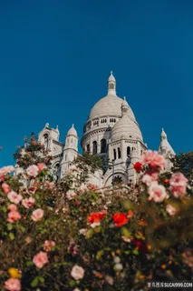 高清玫瑰花园城堡图片