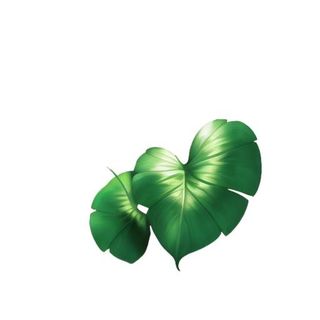 叶子树叶绿叶草丛免抠