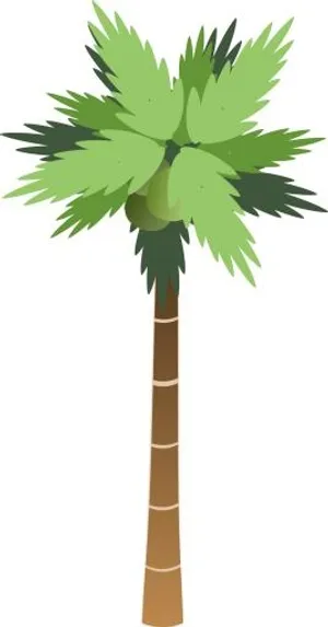 棕榈树 PNG免抠