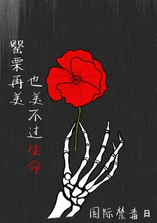 国际禁毒日海报