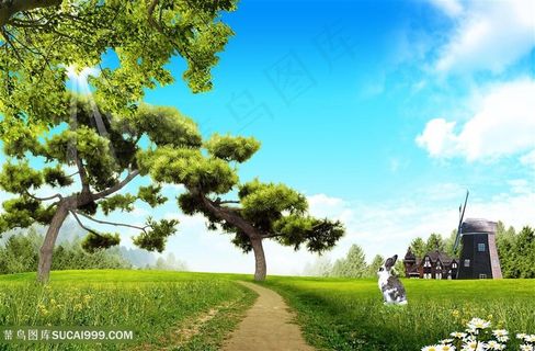 大树草地风景画韩式自然背景