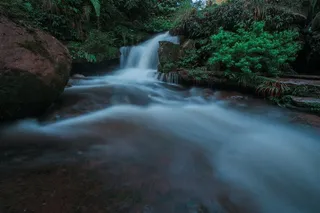 四川黄荆老林风景摄影