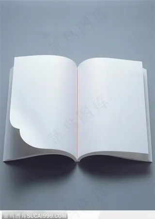 打开的书本