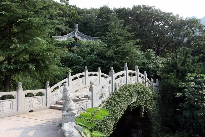 树林间环绕的石桥