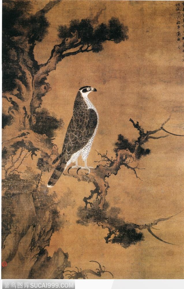 花鸟篇-松树与鸟