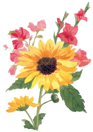 向日葵彩绘高清图片