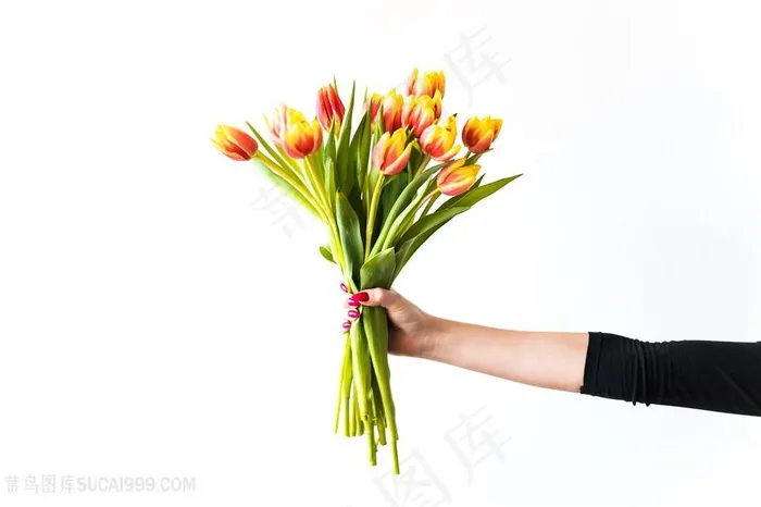粉黄色的郁金香花束