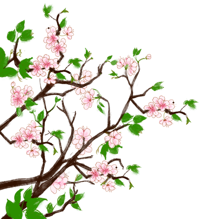 春天浪漫粉红色樱花手绘樱花梅花桃花花朵图片PNG免扣素材
