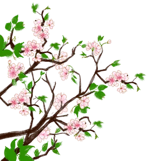 春天浪漫粉红色樱花手绘樱花梅花桃花花朵图片PNG免扣素材