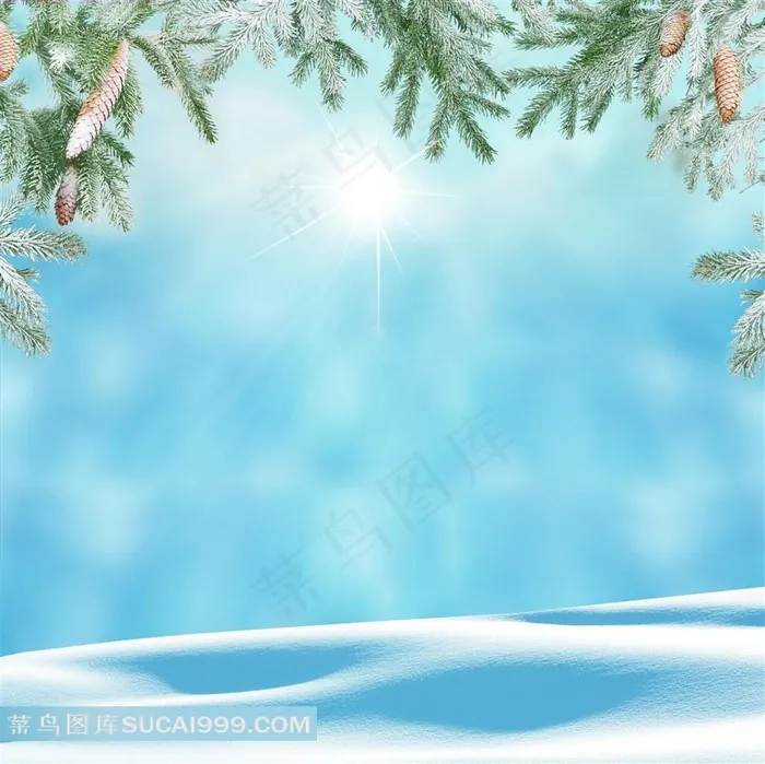 杉树枝与雪地景色背景图片