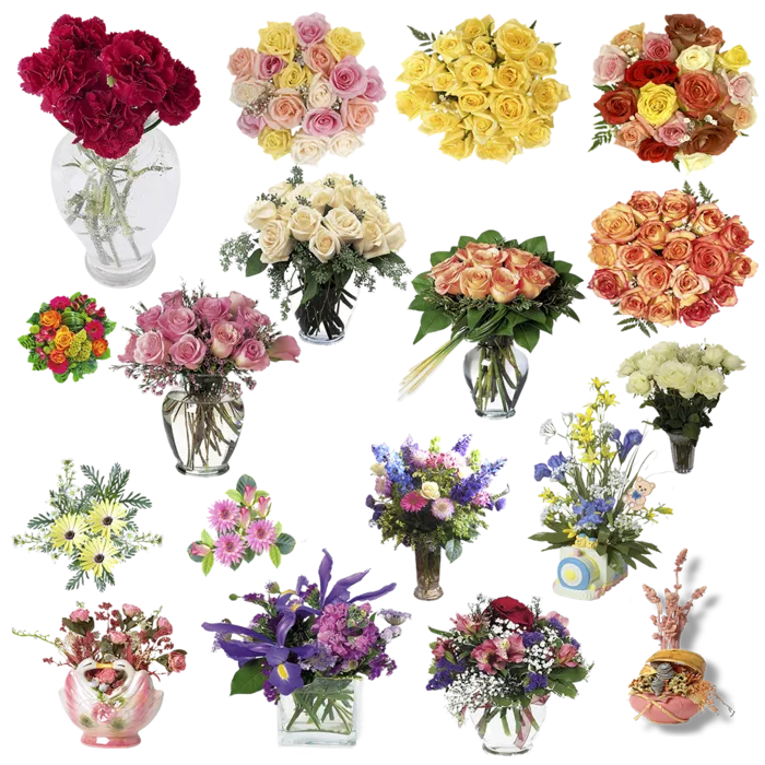 花朵花束鲜花