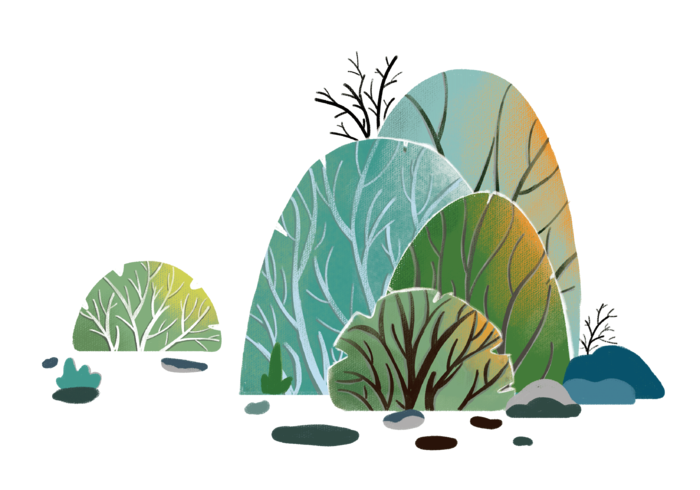 手绘植物插画图片