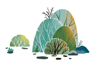 手绘植物插画图片