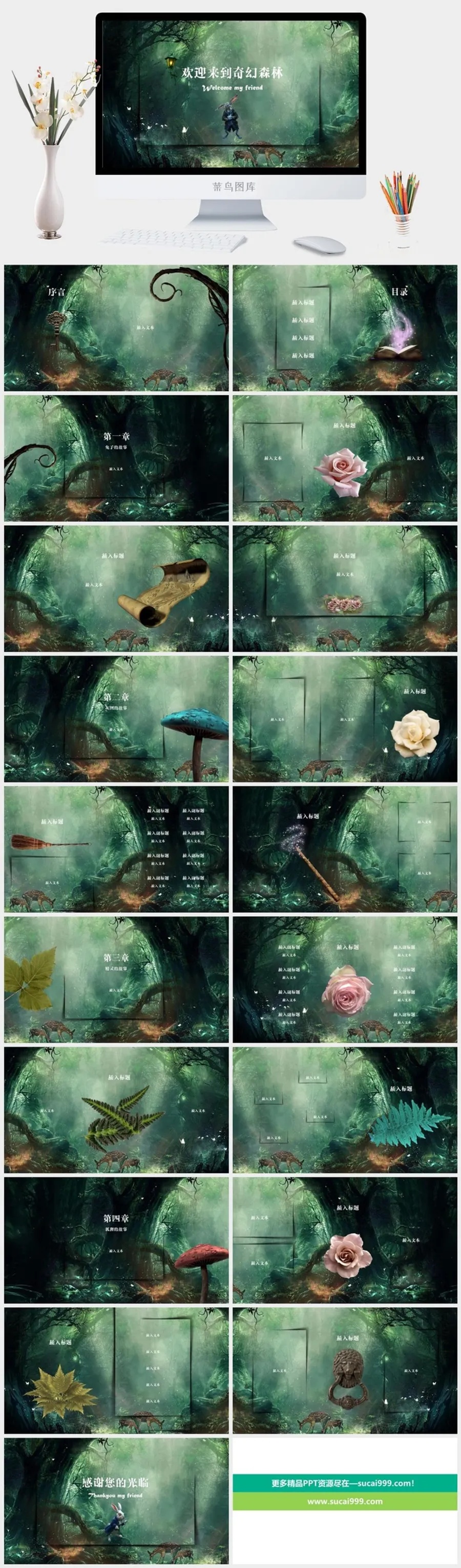 欢迎来到奇幻森林PPT