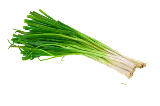 香葱 (4)超市商品白底图免抠实物摄影png格式图片透明底