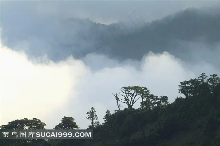*早晨自然美景