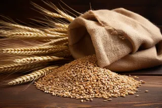 秋季成熟作物布袋倒出的小麦和干麦穗摄影图