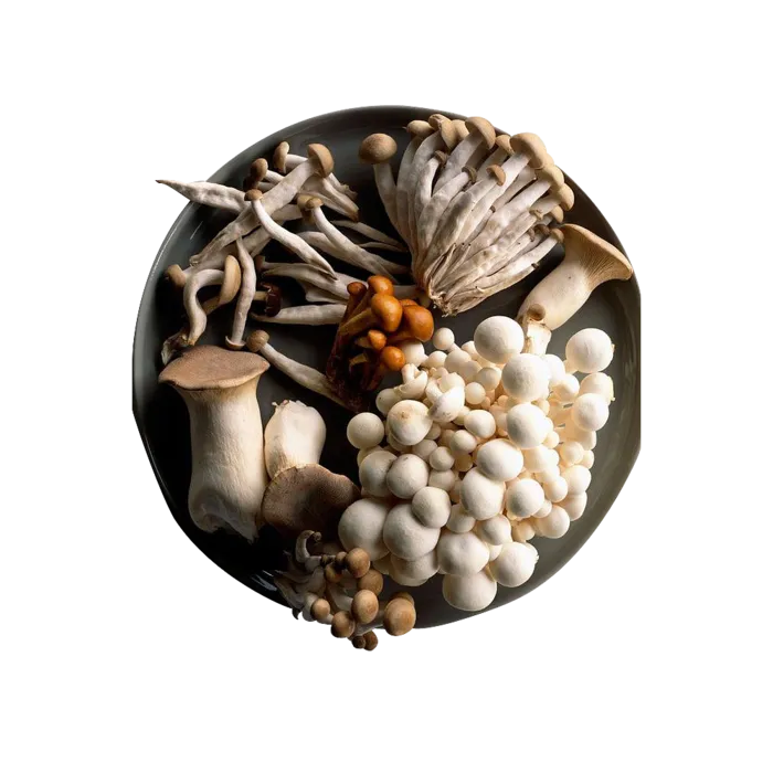 蔬菜菌类素材装饰免扣一盘