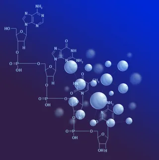 化学分子结构模型图