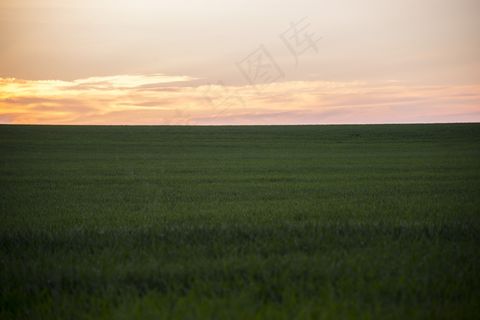 自然草原风景图片
