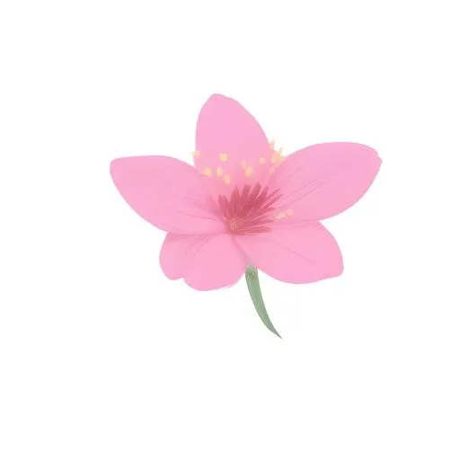 花免抠(2048x2048)