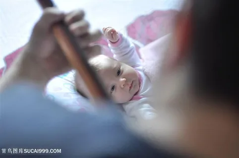 聪慧过人宝宝 聪慧过人宝宝