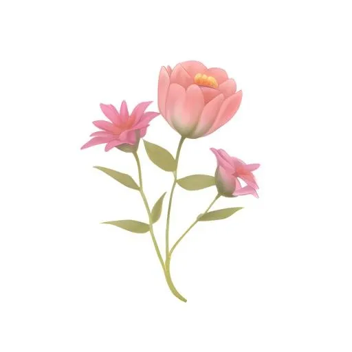 花免抠(2048x2048)