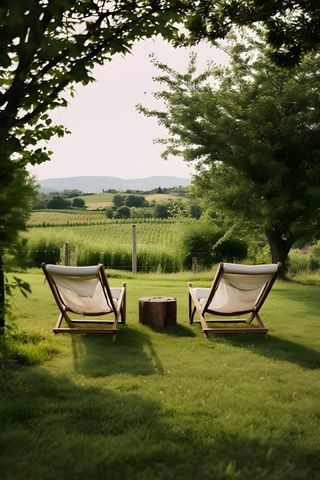 草地椅子寂静意境背景