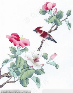 工笔画—茶花