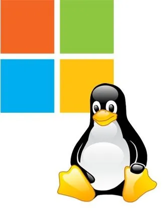 Linux 标志 PNG免抠(333x425)
