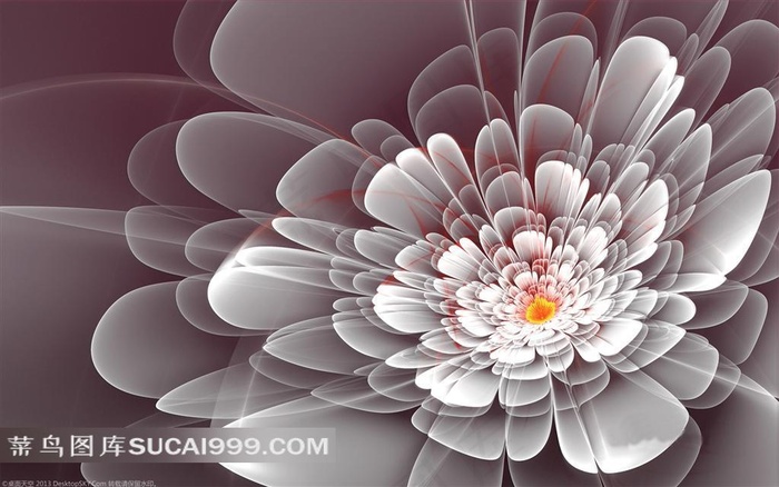 电脑绘制绚丽白色花朵