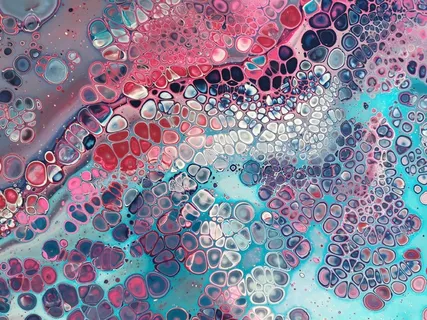 生物细胞图片 生物细胞图片