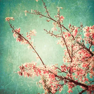 梅花绘画图片下载 梅花绘画图片下载