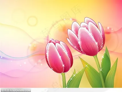 高清晰郁金香 高清图片