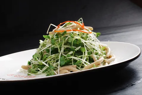 LCSC1551萝卜苗拌鱼鱼  16