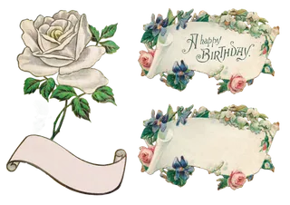 横幅, 花, 玫花 玫瑰 剪