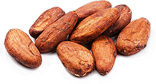 可可果实可可粉免抠 (21)