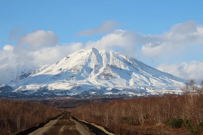 冬天自然背景风景