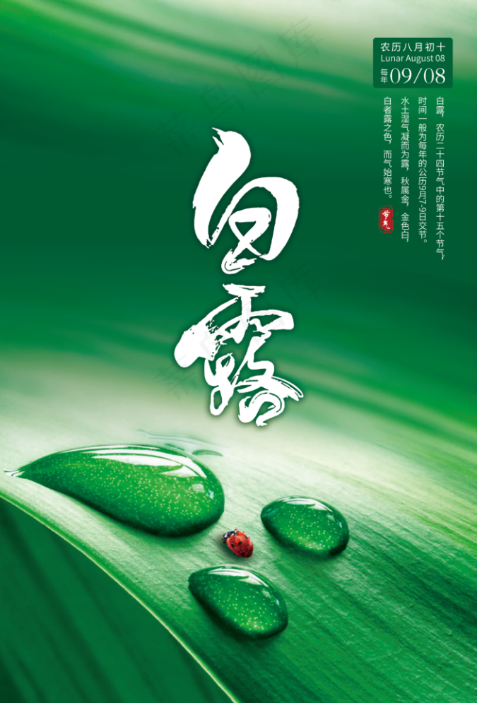 白露节气海报psd模版下载
