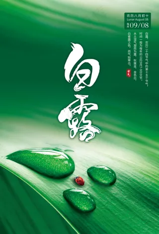白露节气海报