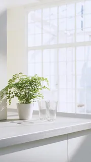 小清新窗台绿植特写近景场景 小清新窗台绿植特写近景场景