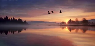 夕阳湖面倒影风光背景