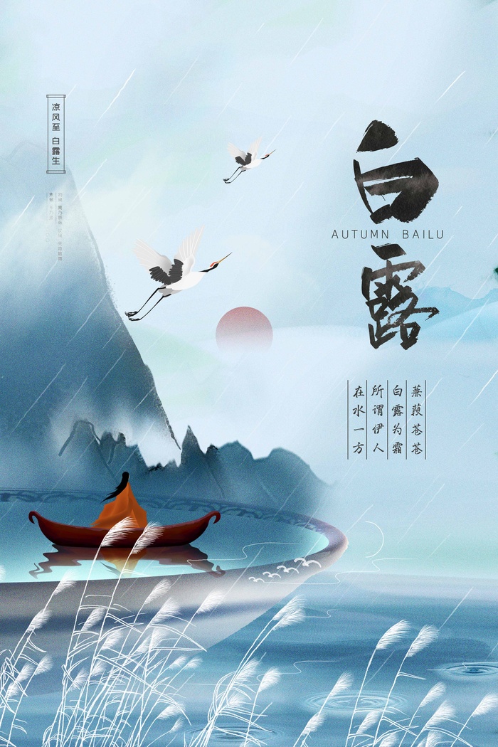 简约白露活动宣传图片