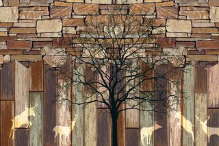 木板大树鹿群装饰画