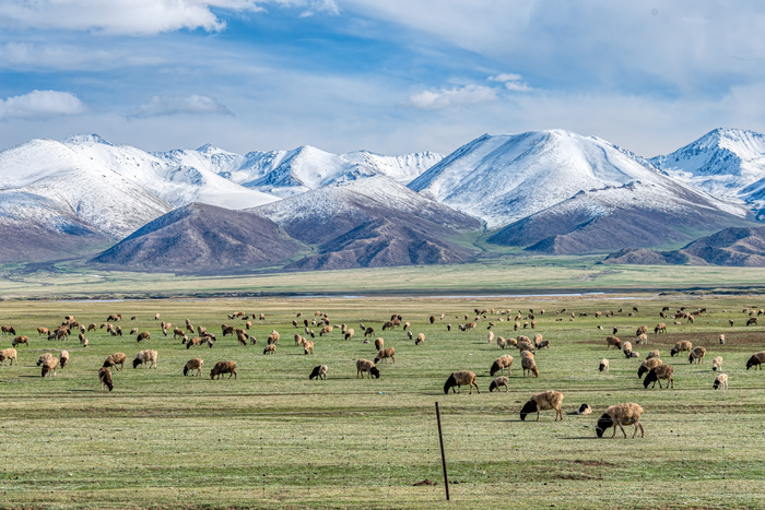 巴音布鲁克草原