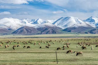 巴音布鲁克草原