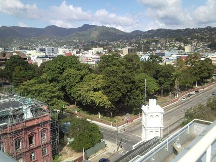 城市壁纸中的绿树